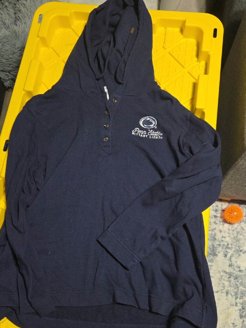 Champion Navy Penn State Hoodie Sweatshirt